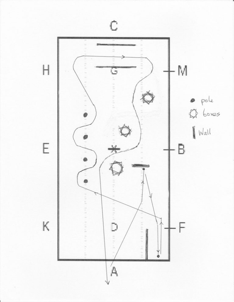 Game Diagrams | Equus International Pony Play